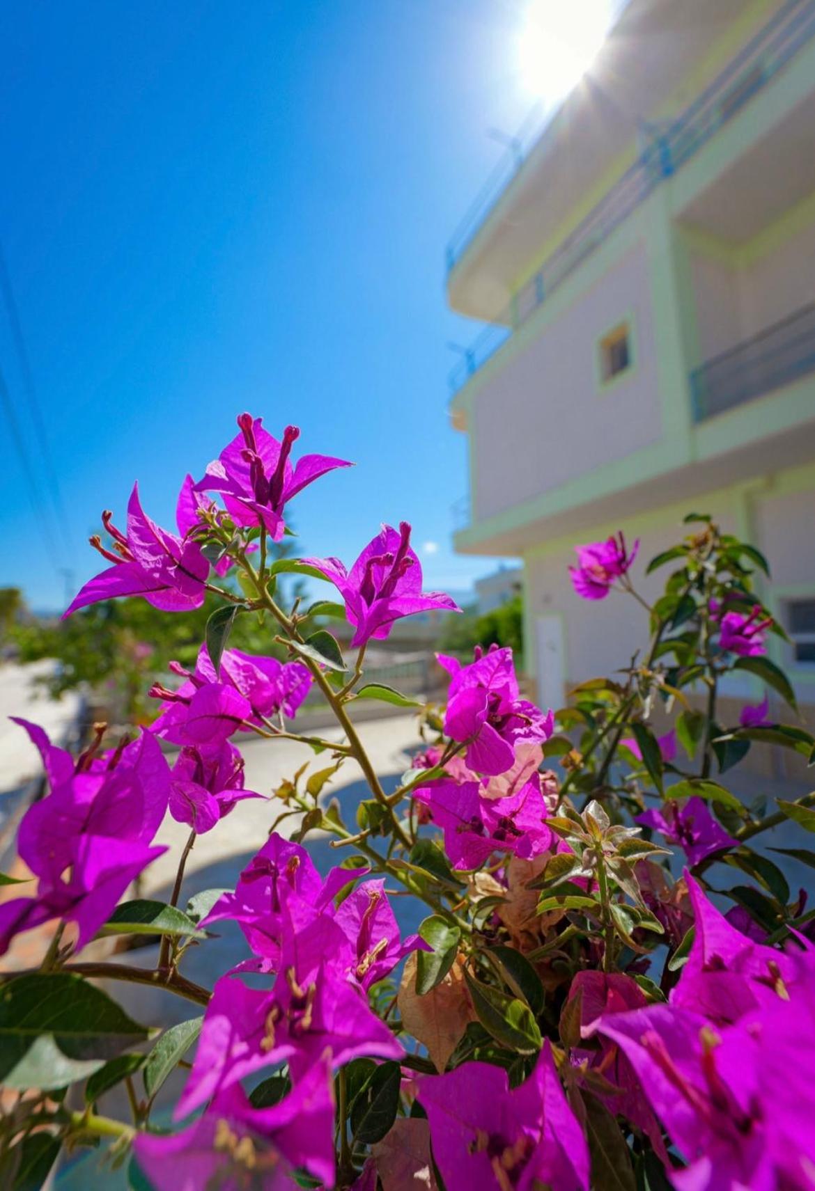 Sunflower Hotel Ксамил Экстерьер фото