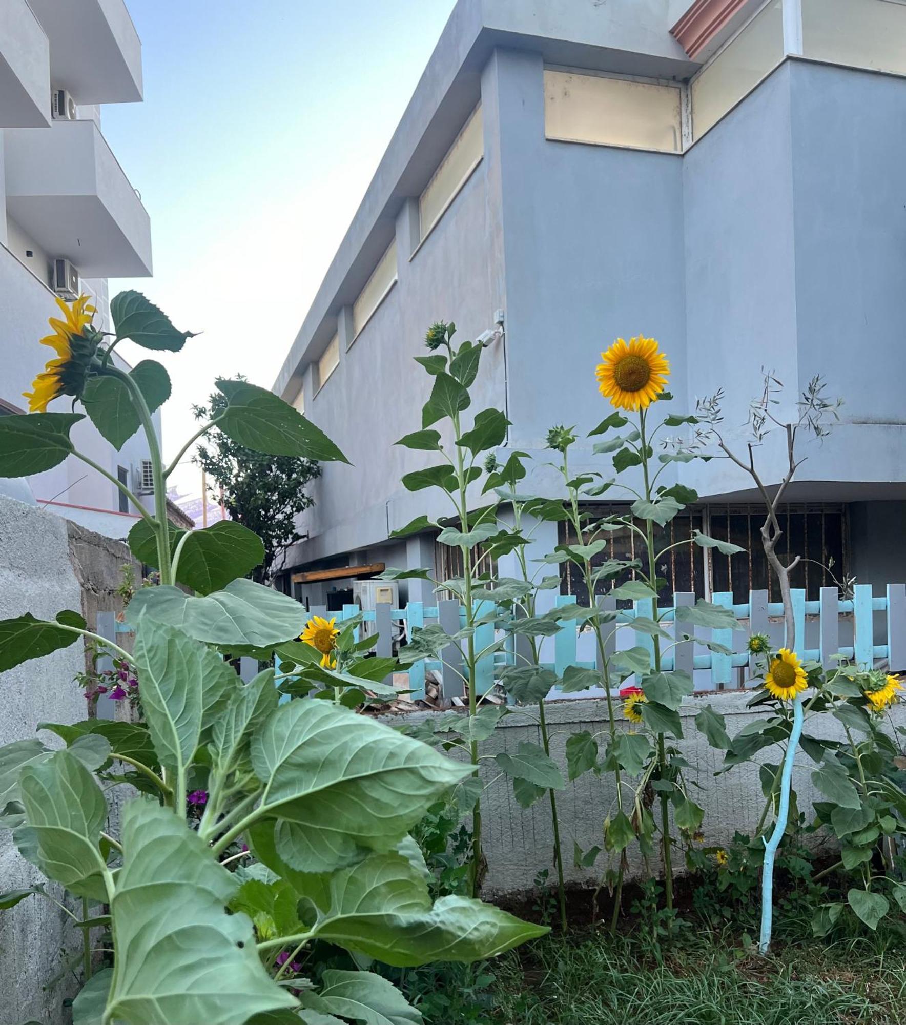 Sunflower Hotel Ксамил Экстерьер фото